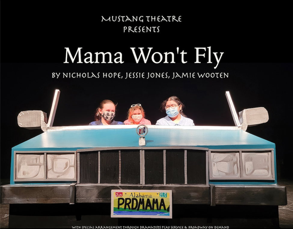 Mama Won't Fly play poster