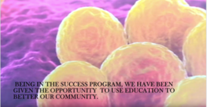Innovation: A Success Story