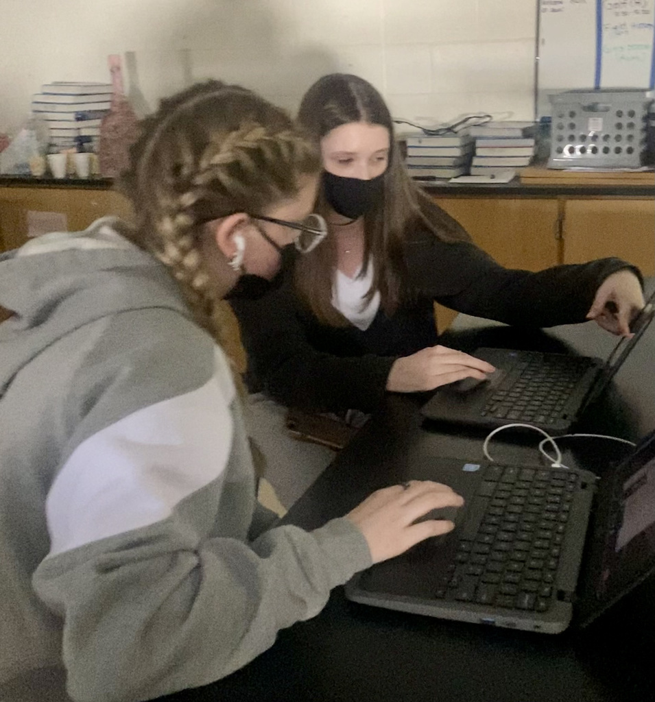 Students working in pairs in a Science classroom